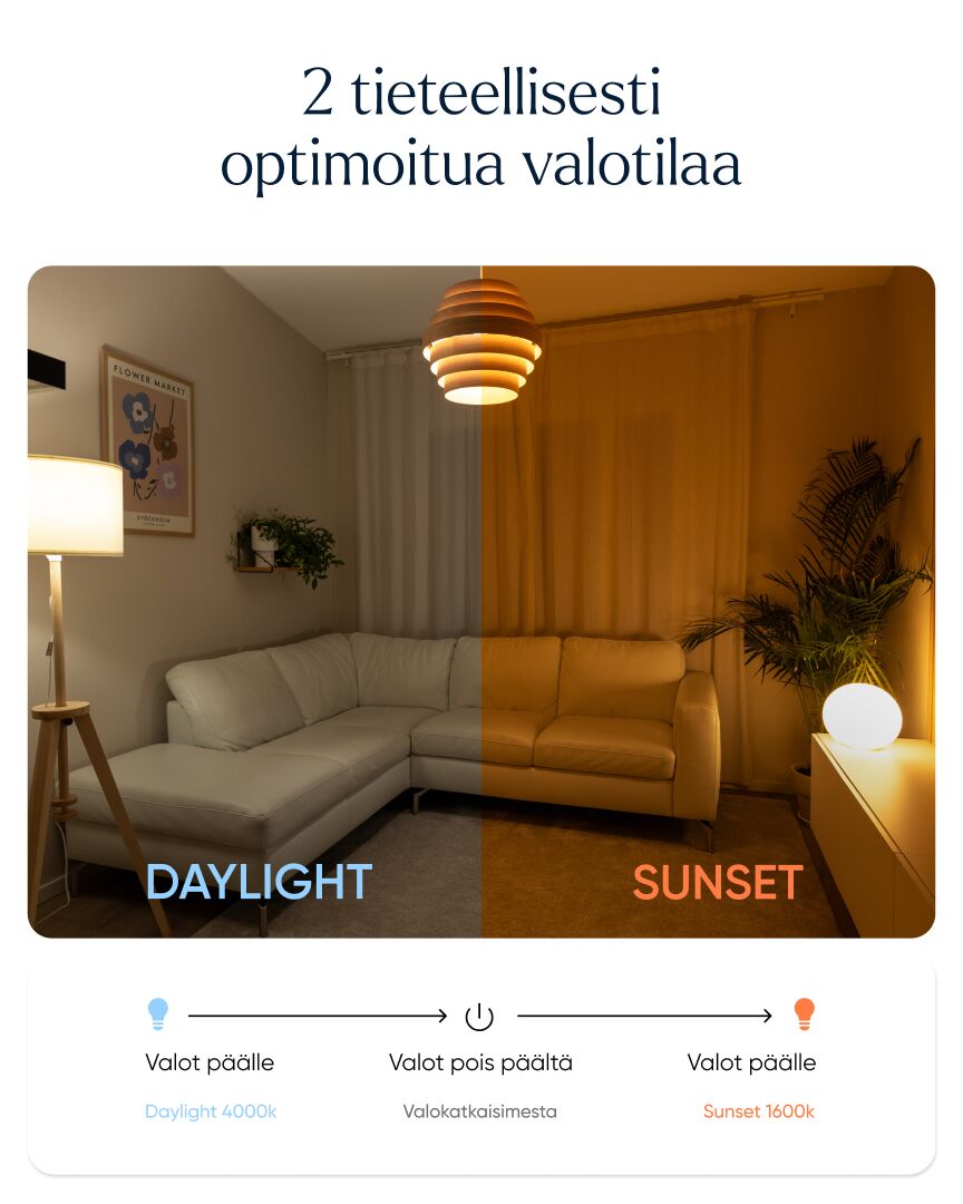 NLED™ Päivä + Iltavalo