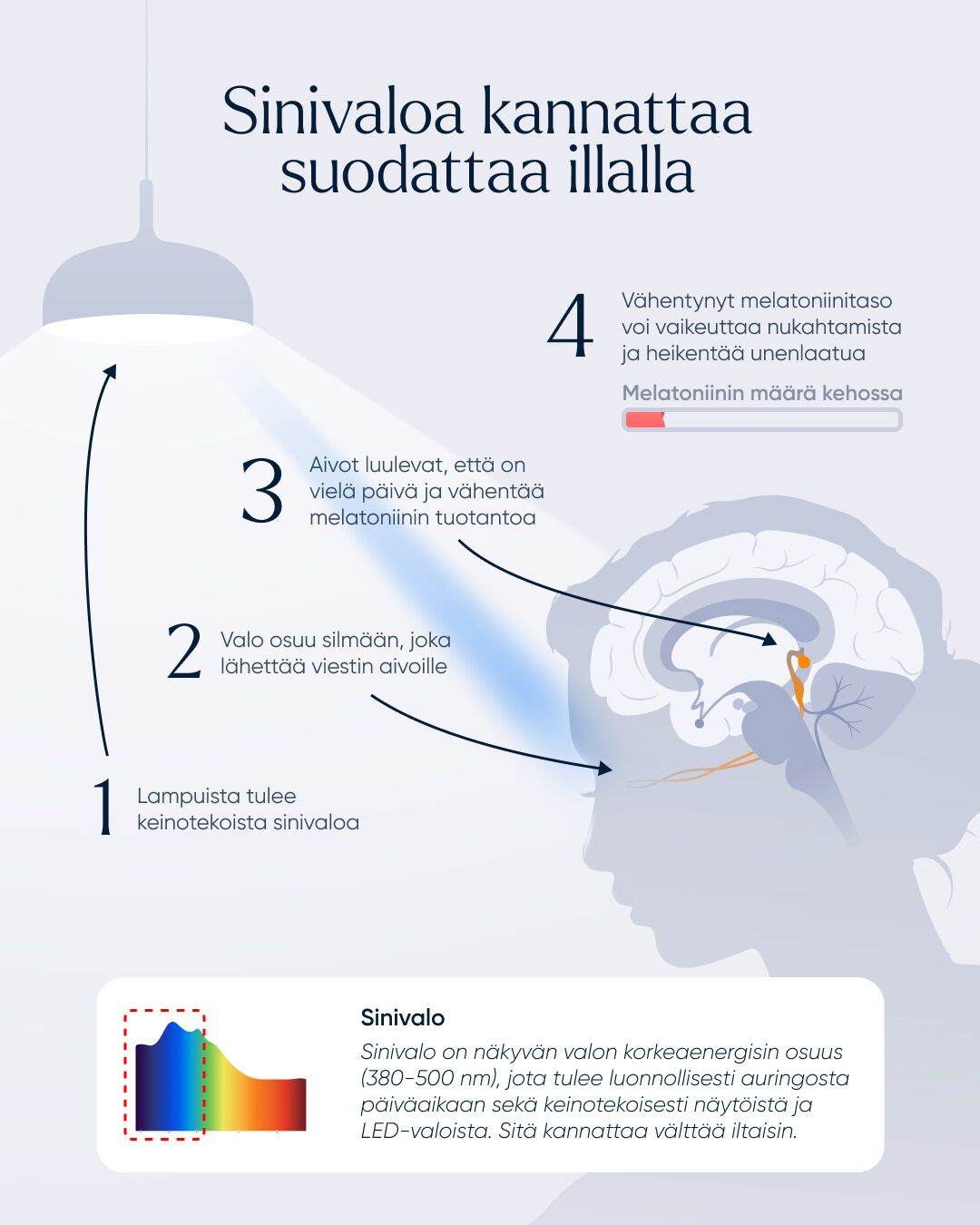 NLED™ Päivä + Iltavalo