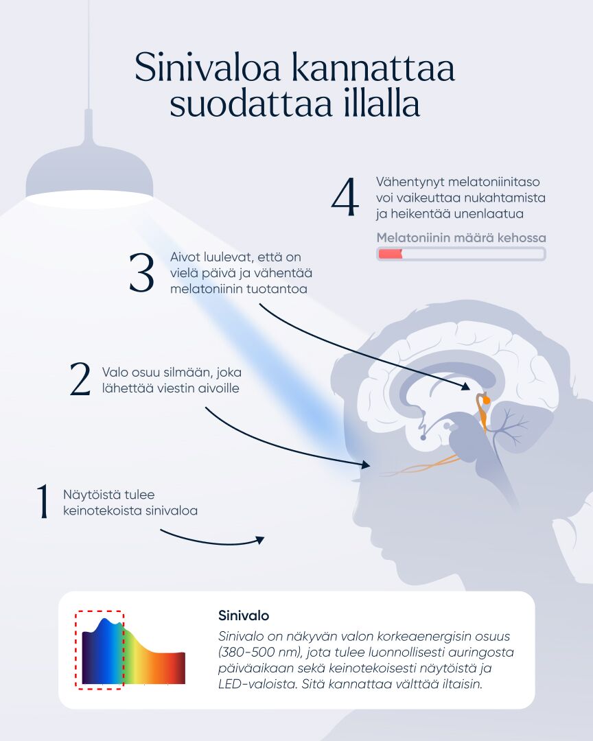 NLED™ Iltavalo E27